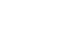 Opinion